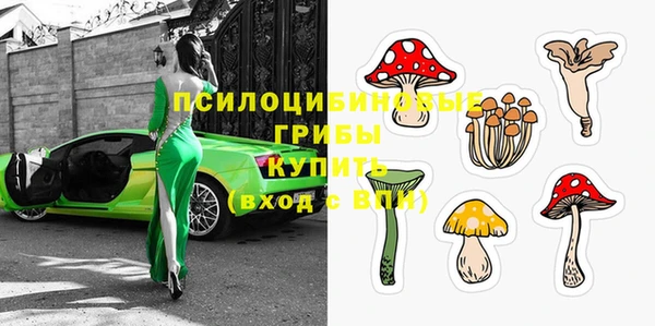 дживик Кинешма
