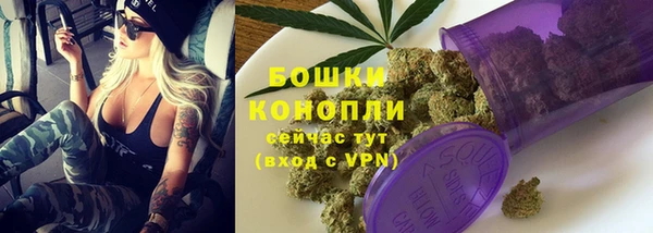 дживик Кинешма